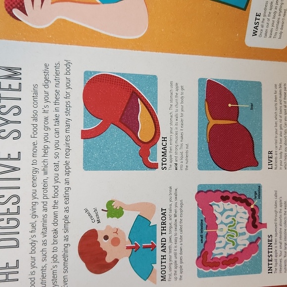 Magic Magnifying Glass Books Set​ - Picture 5 of 7